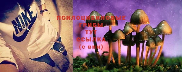 бошки Нефтекумск