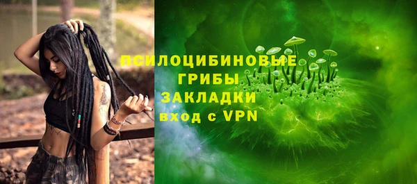 ПСИЛОЦИБИНОВЫЕ ГРИБЫ Нефтегорск