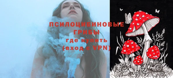 ПСИЛОЦИБИНОВЫЕ ГРИБЫ Нефтегорск