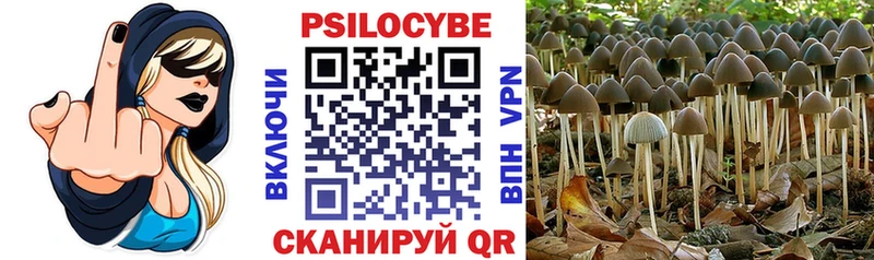mega как войти  Ржев  Галлюциногенные грибы Cubensis  нарко площадка какой сайт  купить  цена 