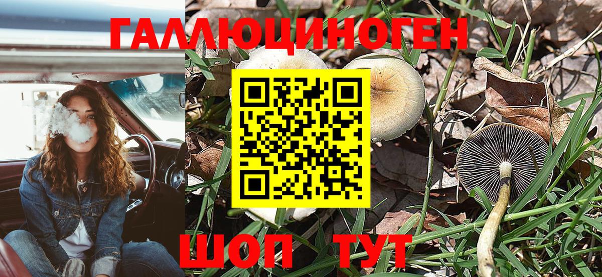 Псилоцибиновые грибы мухоморы Ржев