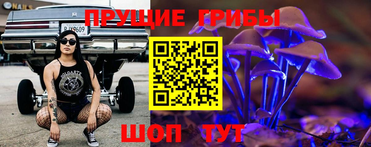 Галлюциногенные грибы GOLDEN TEACHER  Ржев 