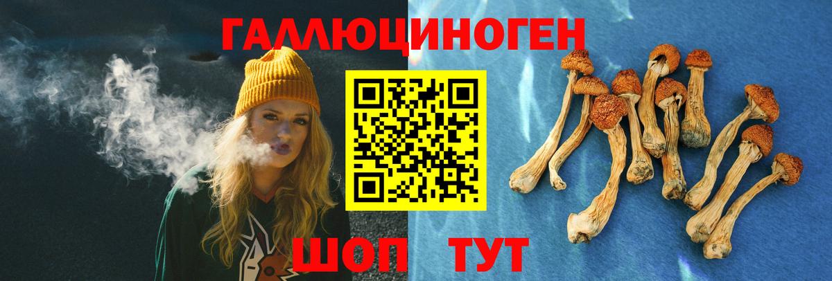Галлюциногенные грибы Cubensis  Вход с VPN  закладка  Ржев 