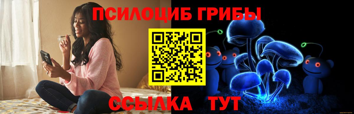 Псилоцибиновые грибы GOLDEN TEACHER Ржев